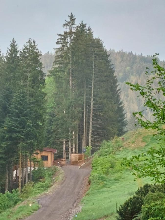 Le Refuge Perche Du Saut De La Bourrique Spa, Terrain Cloture เฌราร์แมร์ ภายนอก รูปภาพ