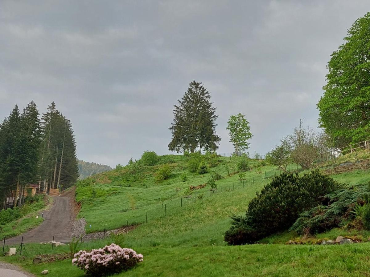 Le Refuge Perche Du Saut De La Bourrique Spa, Terrain Cloture เฌราร์แมร์ ภายนอก รูปภาพ
